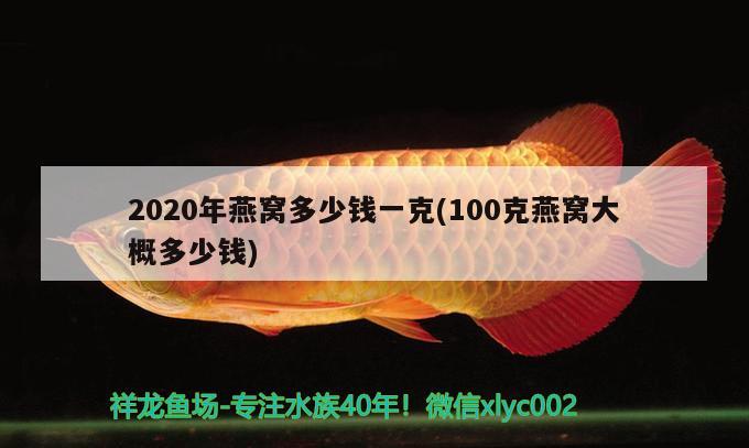 2020年燕窩多少錢(qián)一克(100克燕窩大概多少錢(qián)) 馬來(lái)西亞燕窩