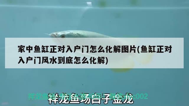 家中魚缸正對(duì)入戶門怎么化解圖片(魚缸正對(duì)入戶門風(fēng)水到底怎么化解) 魚缸風(fēng)水