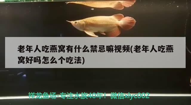 老年人吃燕窩有什么禁忌嘛視頻(老年人吃燕窩好嗎怎么個吃法) 馬來西亞燕窩