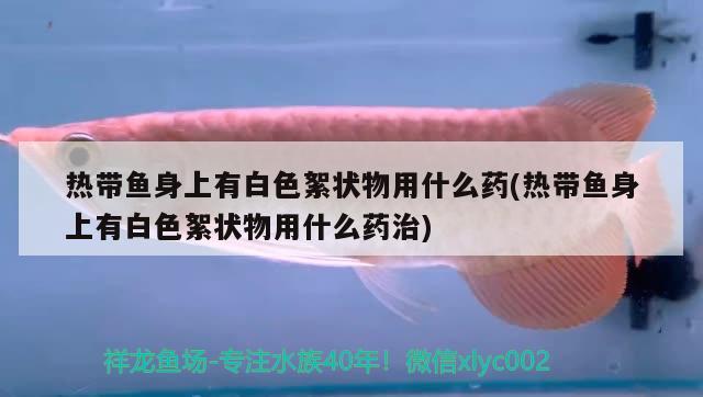 熱帶魚身上有白色絮狀物用什么藥(熱帶魚身上有白色絮狀物用什么藥治) 硝化細菌