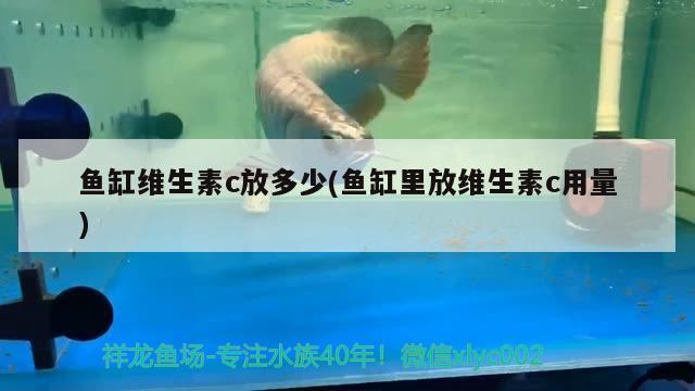 魚缸維生素c放多少(魚缸里放維生素c用量) 翡翠鳳凰魚