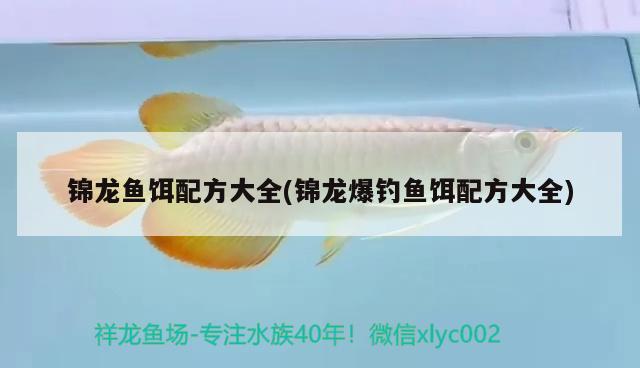 錦龍魚餌配方大全(錦龍爆釣魚餌配方大全) 垂釣樂園 第3張