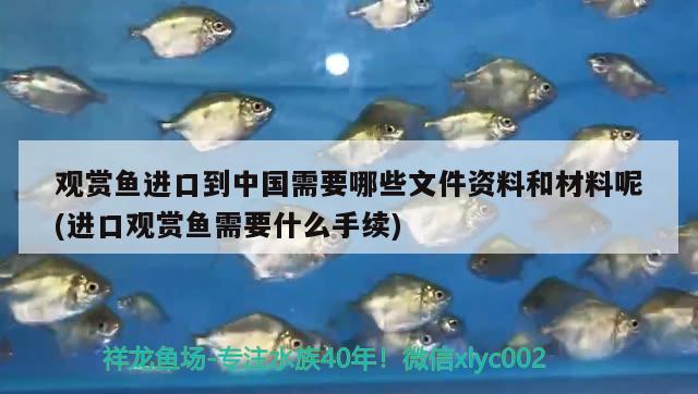 觀賞魚進口到中國需要哪些文件資料和材料呢(進口觀賞魚需要什么手續(xù)) 觀賞魚進出口