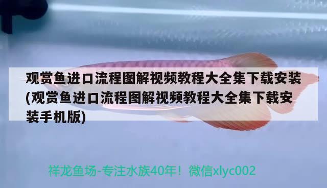 觀賞魚(yú)進(jìn)口流程圖解視頻教程大全集下載安裝(觀賞魚(yú)進(jìn)口流程圖解視頻教程大全集下載安裝手機(jī)版)