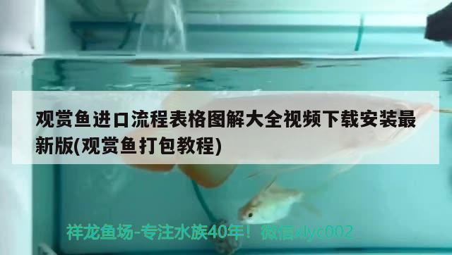 觀賞魚進口流程表格圖解大全視頻下載安裝最新版(觀賞魚打包教程) 觀賞魚進出口