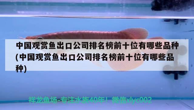 中國觀賞魚出口公司排名榜前十位有哪些品種(中國觀賞魚出口公司排名榜前十位有哪些品種)