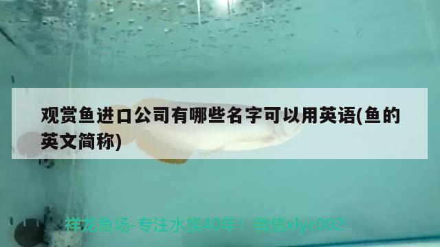 觀賞魚進口公司有哪些名字可以用英語(魚的英文簡稱) 觀賞魚進出口