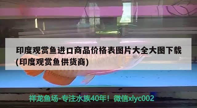 印度觀賞魚進口商品價格表圖片大全大圖下載(印度觀賞魚供貨商)