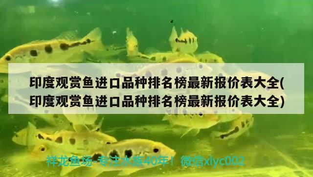 印度觀賞魚(yú)進(jìn)口品種排名榜最新報(bào)價(jià)表大全(印度觀賞魚(yú)進(jìn)口品種排名榜最新報(bào)價(jià)表大全) 觀賞魚(yú)進(jìn)出口