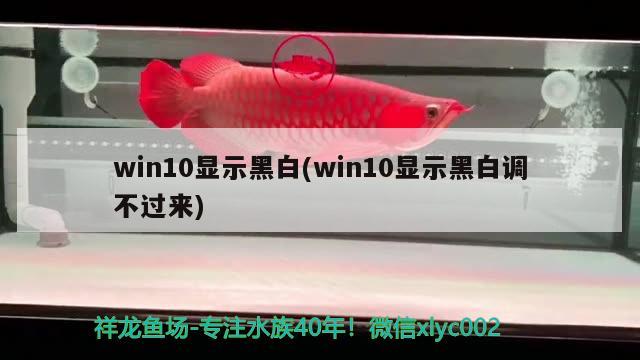 win10顯示黑白(win10顯示黑白調(diào)不過來)