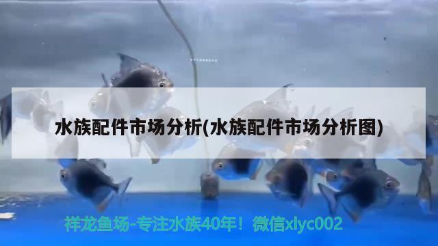 水族配件市場(chǎng)分析(水族配件市場(chǎng)分析圖)