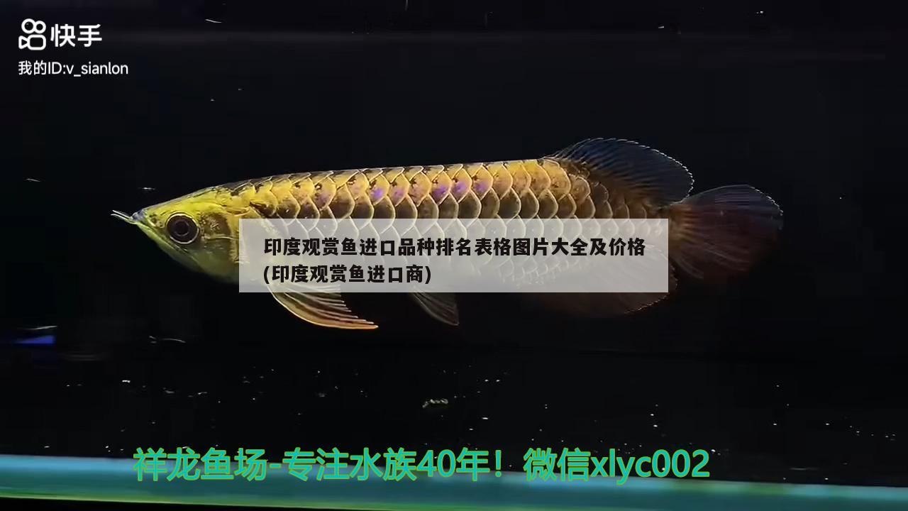 印度觀賞魚(yú)進(jìn)口品種排名表格圖片大全及價(jià)格(印度觀賞魚(yú)進(jìn)口商)