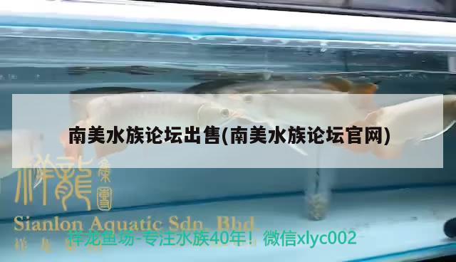 南美水族論壇出售(南美水族論壇官網(wǎng)) 廣州祥龍國(guó)際水族貿(mào)易