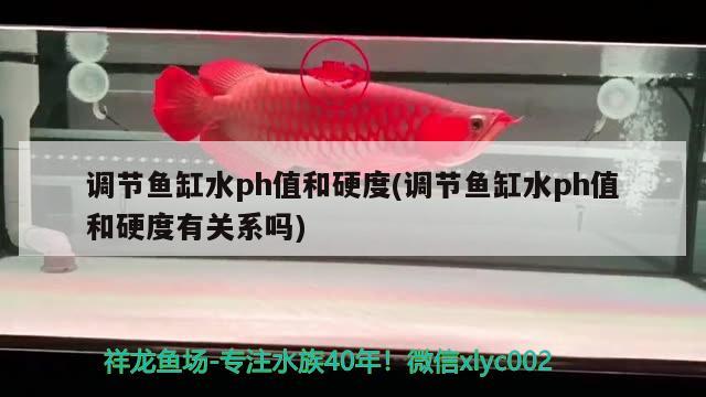 調(diào)節(jié)魚缸水ph值和硬度(調(diào)節(jié)魚缸水ph值和硬度有關(guān)系嗎) 巴西亞魚苗