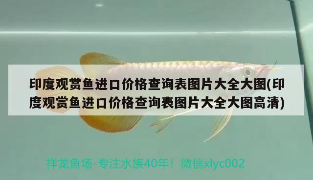 印度觀賞魚進(jìn)口價格查詢表圖片大全大圖(印度觀賞魚進(jìn)口價格查詢表圖片大全大圖高清)