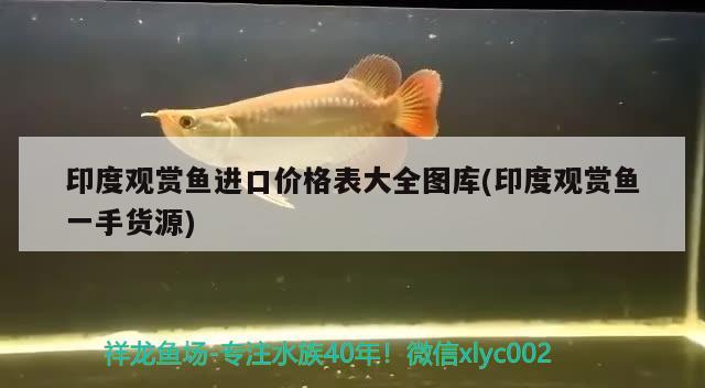 印度觀賞魚進(jìn)口價格表大全圖庫(印度觀賞魚一手貨源) 觀賞魚進(jìn)出口