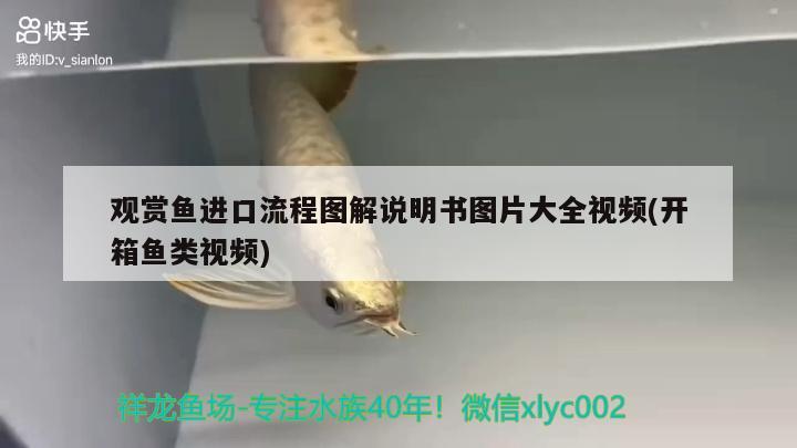 觀賞魚進口流程圖解說明書圖片大全視頻(開箱魚類視頻)