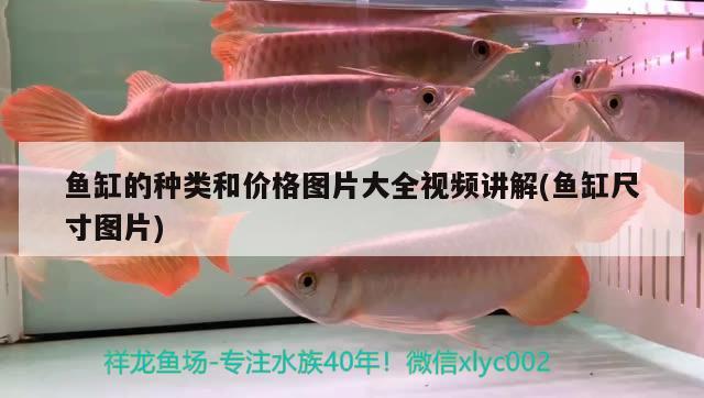 魚(yú)缸的種類(lèi)和價(jià)格圖片大全視頻講解(魚(yú)缸尺寸圖片) 水族燈（魚(yú)缸燈）