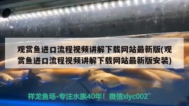 觀賞魚進(jìn)口流程視頻講解下載網(wǎng)站最新版(觀賞魚進(jìn)口流程視頻講解下載網(wǎng)站最新版安裝) 觀賞魚進(jìn)出口