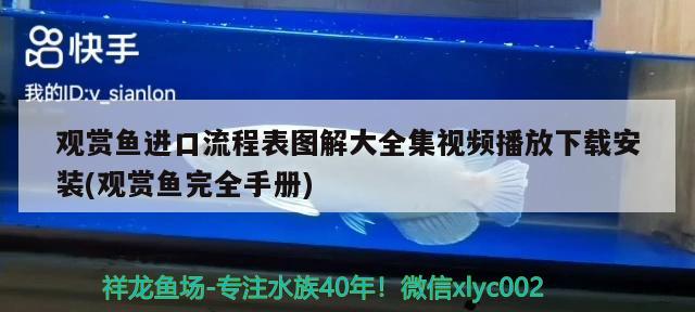 觀賞魚進(jìn)口流程表圖解大全集視頻播放下載安裝(觀賞魚完全手冊) 觀賞魚進(jìn)出口