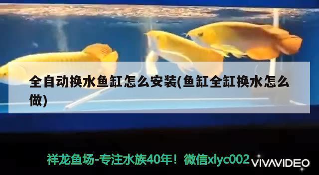 全自動換水魚缸怎么安裝(魚缸全缸換水怎么做) 祥龍水族濾材/器材