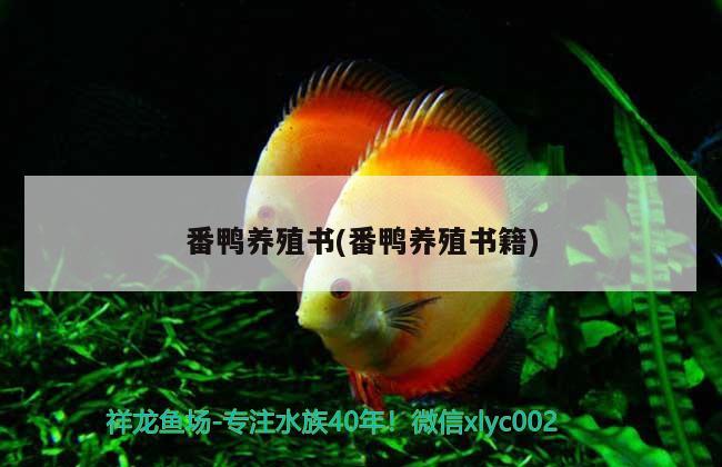 番鴨養(yǎng)殖書(番鴨養(yǎng)殖書籍) 魚糧魚藥