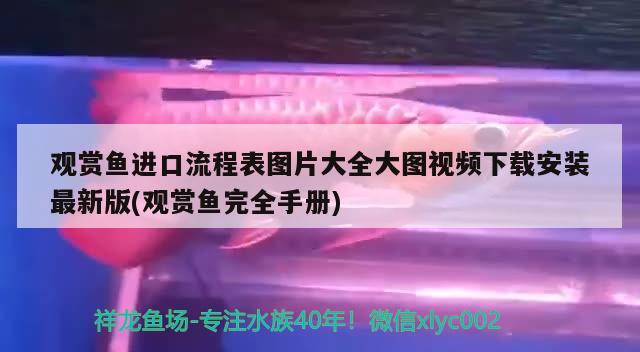 觀賞魚(yú)進(jìn)口流程表圖片大全大圖視頻下載安裝最新版(觀賞魚(yú)完全手冊(cè)) 觀賞魚(yú)進(jìn)出口