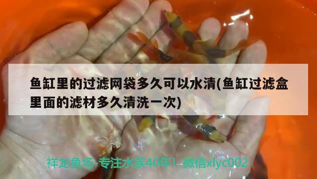 魚缸里的過濾網(wǎng)袋多久可以水清(魚缸過濾盒里面的濾材多久清洗一次) 廣州水族器材濾材批發(fā)市場