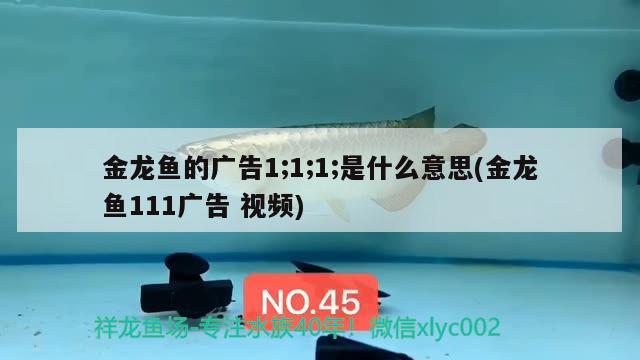 金龍魚的廣告1;1;1;是什么意思(金龍魚111廣告視頻)