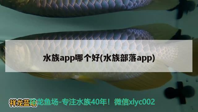 水族app哪個(gè)好(水族部落app)