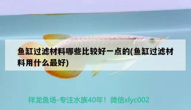 魚缸過濾材料哪些比較好一點(diǎn)的(魚缸過濾材料用什么最好)