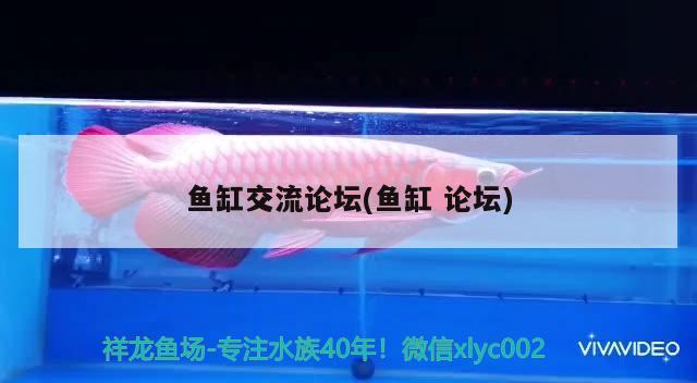 魚(yú)缸交流論壇(魚(yú)缸論壇) 水族世界