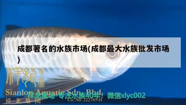 成都著名的水族市場(成都最大水族批發(fā)市場) 觀賞魚水族批發(fā)市場