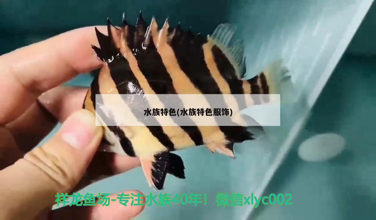 水族特色(水族特色服飾)