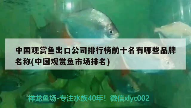 中國觀賞魚出口公司排行榜前十名有哪些品牌名稱(中國觀賞魚市場(chǎng)排名) 觀賞魚進(jìn)出口