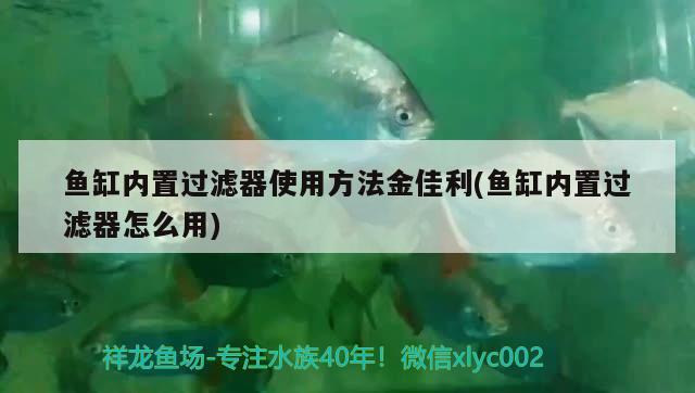 魚缸內(nèi)置過濾器使用方法金佳利(魚缸內(nèi)置過濾器怎么用) 海象魚