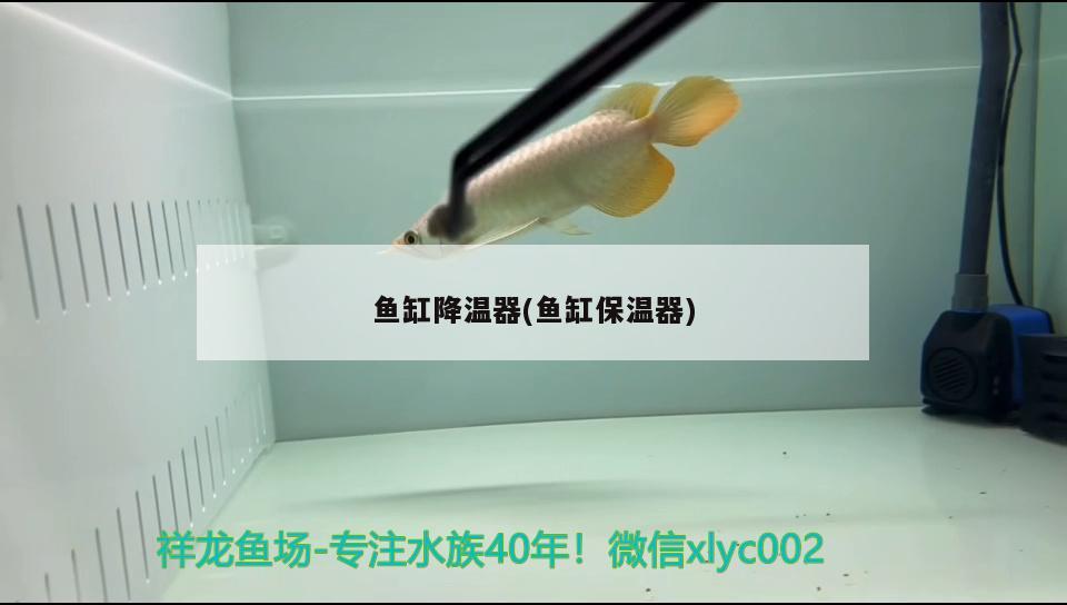 魚缸降溫器(魚缸保溫器)