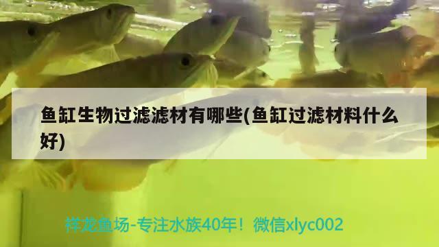 魚缸生物過濾濾材有哪些(魚缸過濾材料什么好)