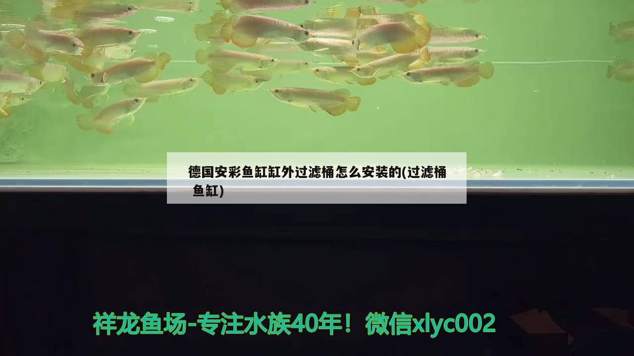 德國安彩魚缸缸外過濾桶怎么安裝的(過濾桶魚缸)