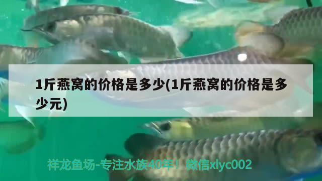 1斤燕窩的價格是多少(1斤燕窩的價格是多少元)