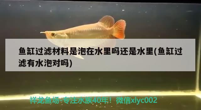 魚缸過濾材料是泡在水里嗎還是水里(魚缸過濾有水泡對(duì)嗎)