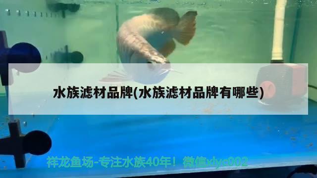 水族濾材品牌(水族濾材品牌有哪些)