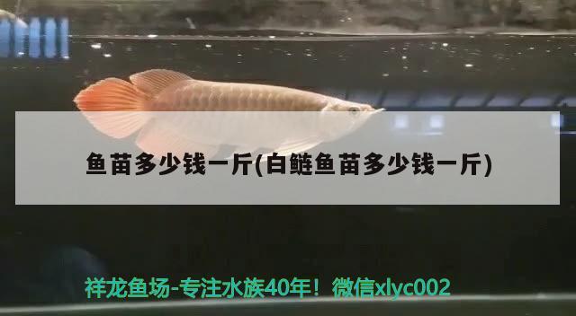 魚苗多少錢一斤(白鰱魚苗多少錢一斤) 水草