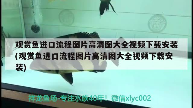 觀賞魚進口流程圖片高清圖大全視頻下載安裝(觀賞魚進口流程圖片高清圖大全視頻下載安裝) 觀賞魚進出口