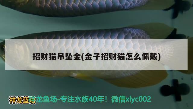 招財貓吊墜金(金子招財貓怎么佩戴) 廣州水族器材濾材批發(fā)市場