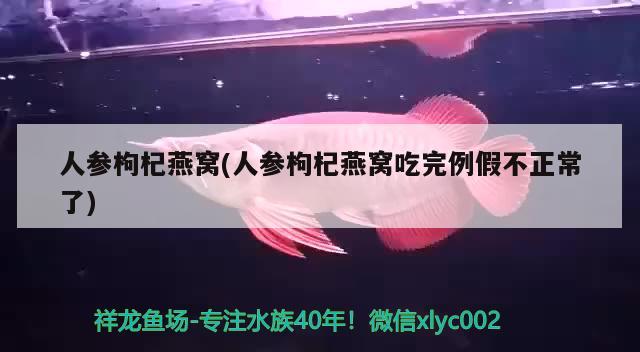 人參枸杞燕窩(人參枸杞燕窩吃完例假不正常了) 馬來(lái)西亞燕窩