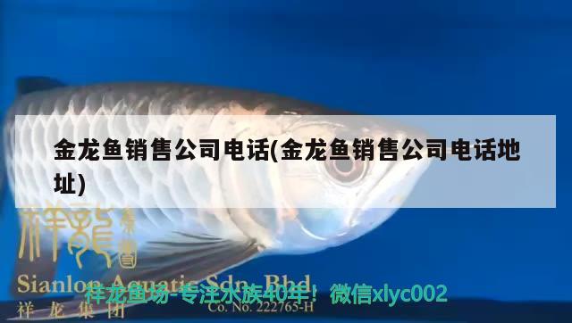 金龍魚銷售公司電話(金龍魚銷售公司電話地址)