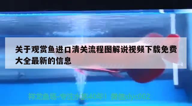 關于觀賞魚進口清關流程圖解說視頻下載免費大全最新的信息 觀賞魚進出口