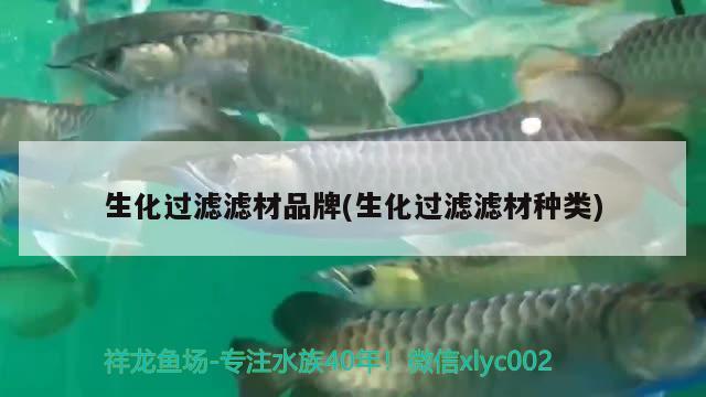 生化過濾濾材品牌(生化過濾濾材種類) 水族雜談