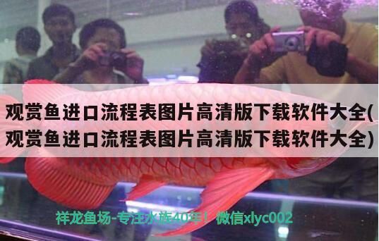 觀賞魚進口流程表圖片高清版下載軟件大全(觀賞魚進口流程表圖片高清版下載軟件大全) 觀賞魚進出口